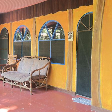 La Palapa Hut Nature Hostel Puerto Jiménez Exteriér fotografie