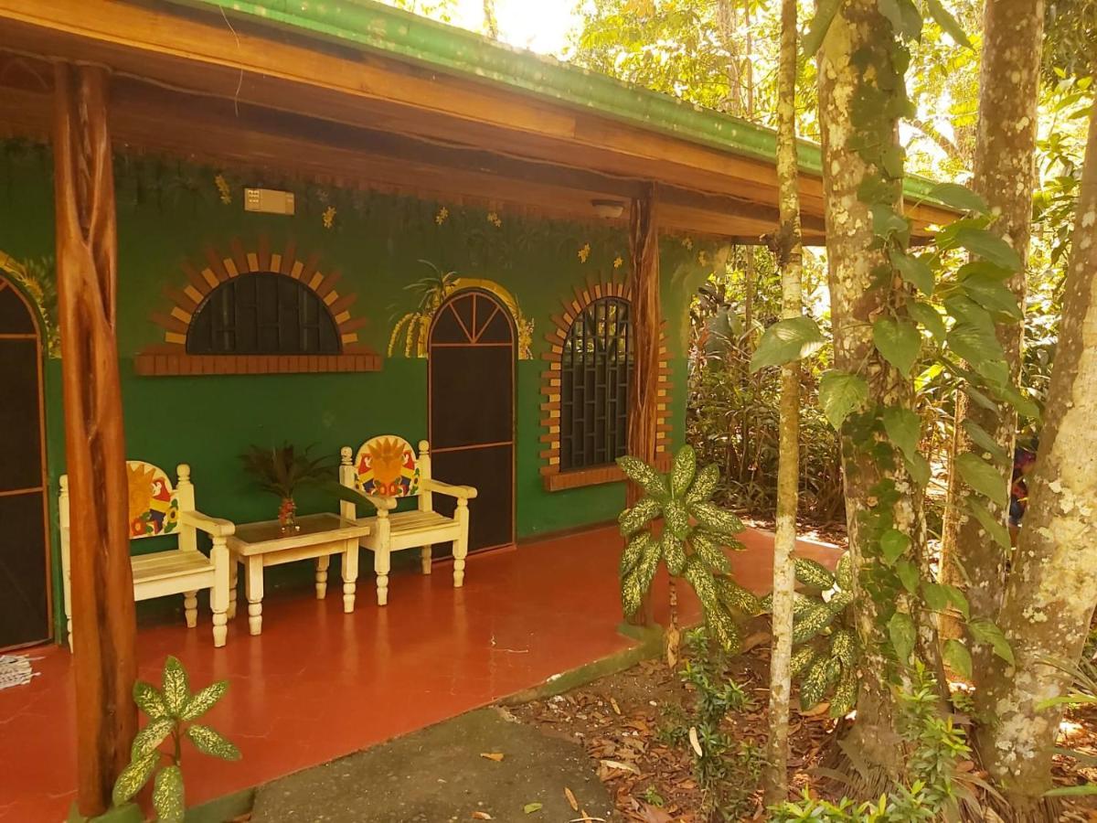 La Palapa Hut Nature Hostel Puerto Jiménez Exteriér fotografie